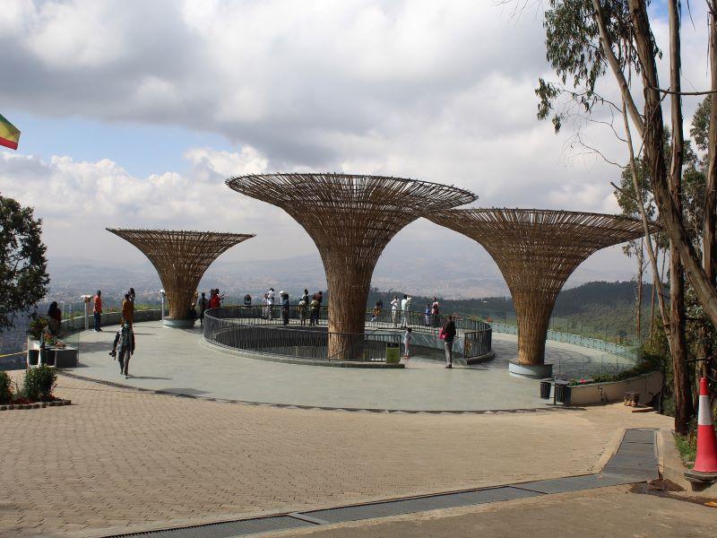 Addis Experience